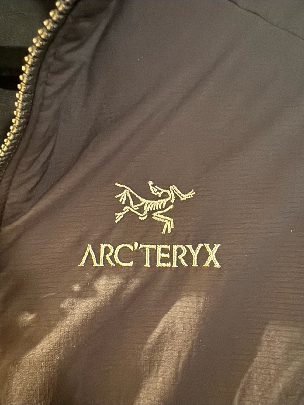 Arc'teryx Atom Vest - Picture 3 of 5